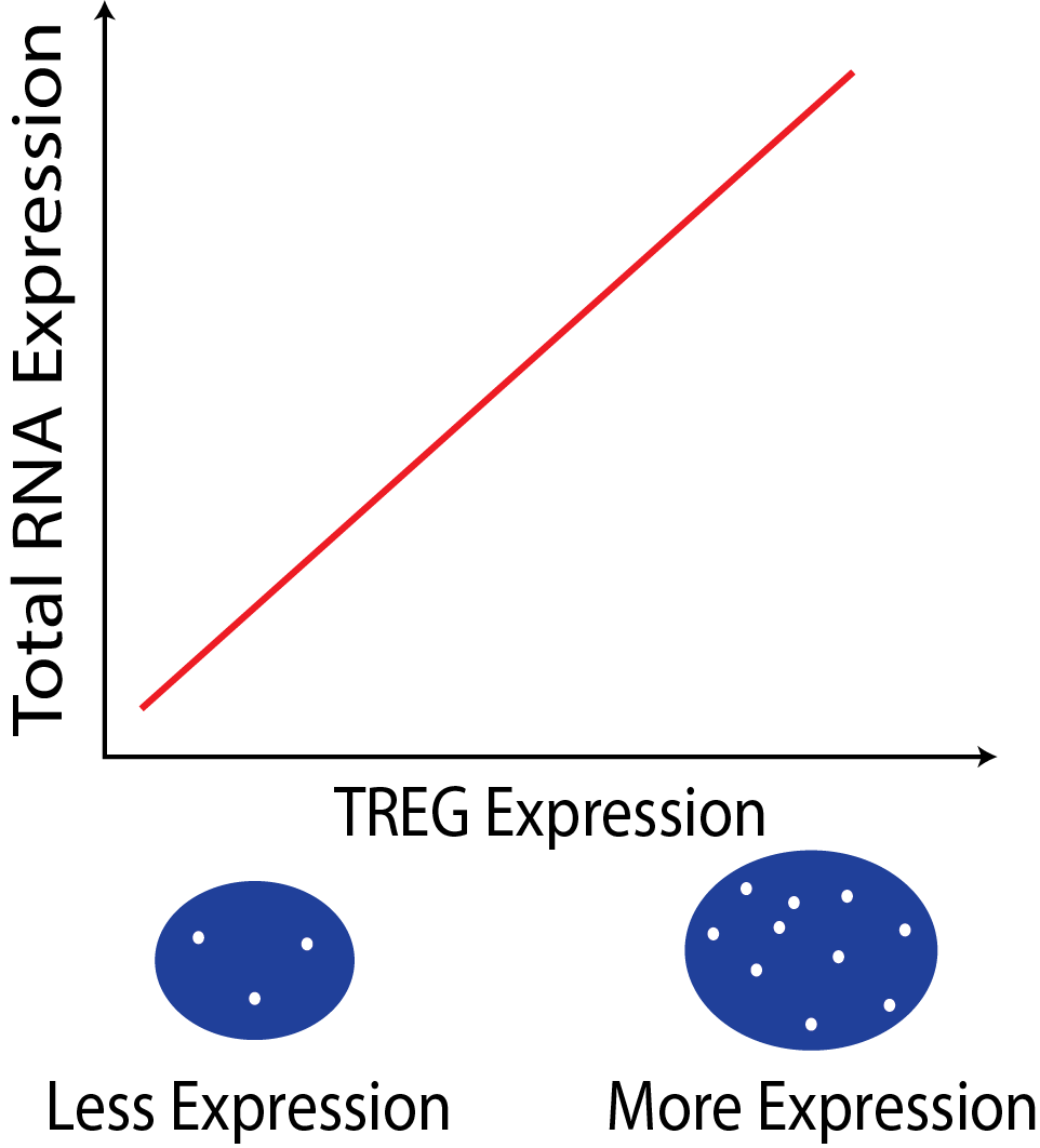 The Expression of a TREG can inform total RNA content of a cell