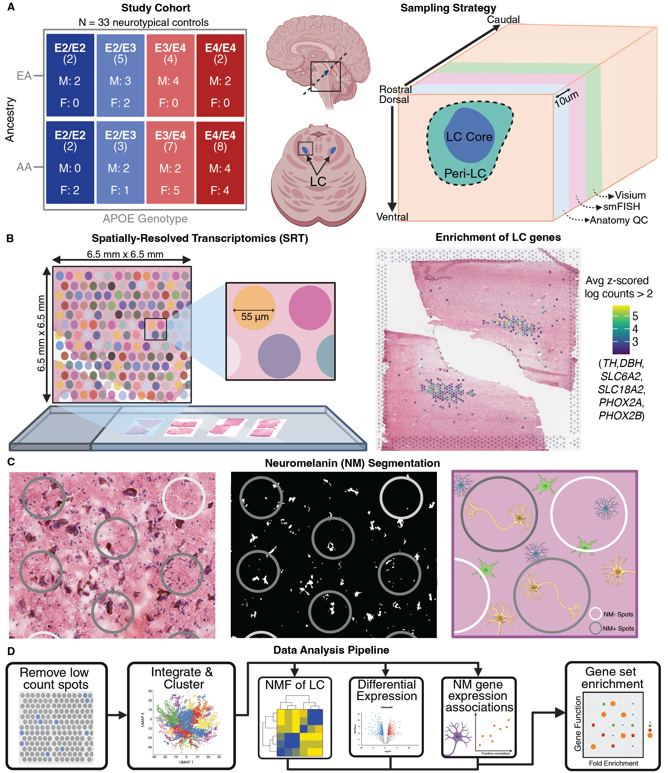 Experimental Overview
